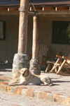 Dogs: A Nice Spot