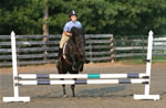 Horses: Abby Jumping 3