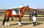 Horses: Emilee & Bergamon