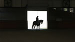 Horses: Emilee & Bergie Silhouette